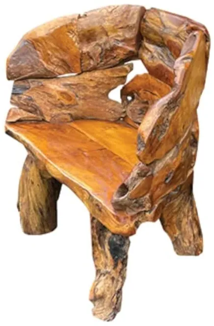 Teak Root Branch Small Bench with Back - Brown