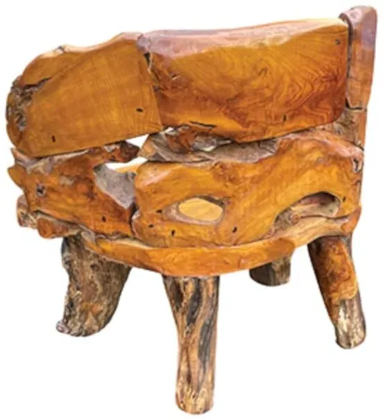 Teak Root Branch Small Bench with Back - Brown