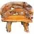 Teak Root Branch Small Bench with Back - Brown