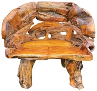 Teak Root Branch Small Bench with Back - Brown image