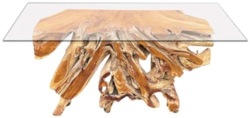 Teak Root Console Table - Brown, Glass