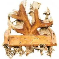 Teak Root King Bench with Back - Brown