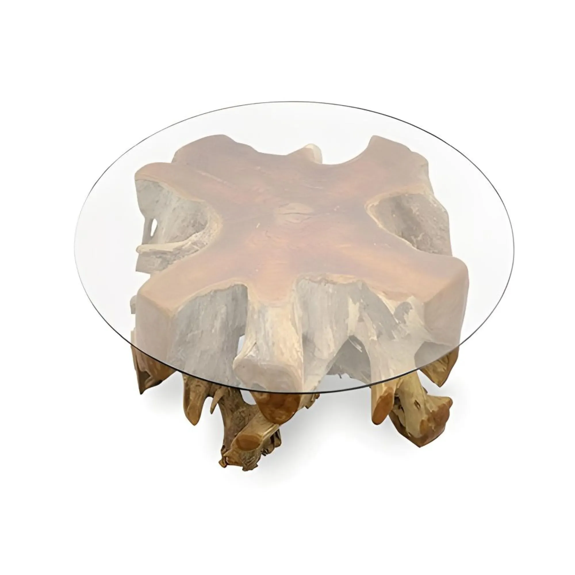 Teak Root Medium Round Spider Coffee Table - Glass