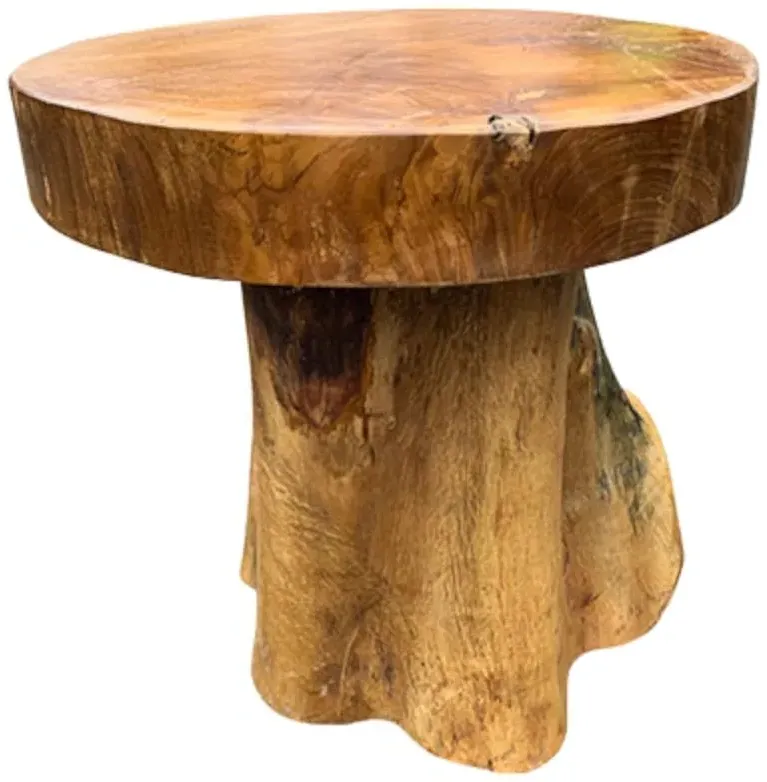 Teak Root Mushroom Round Lamp Table - Brown