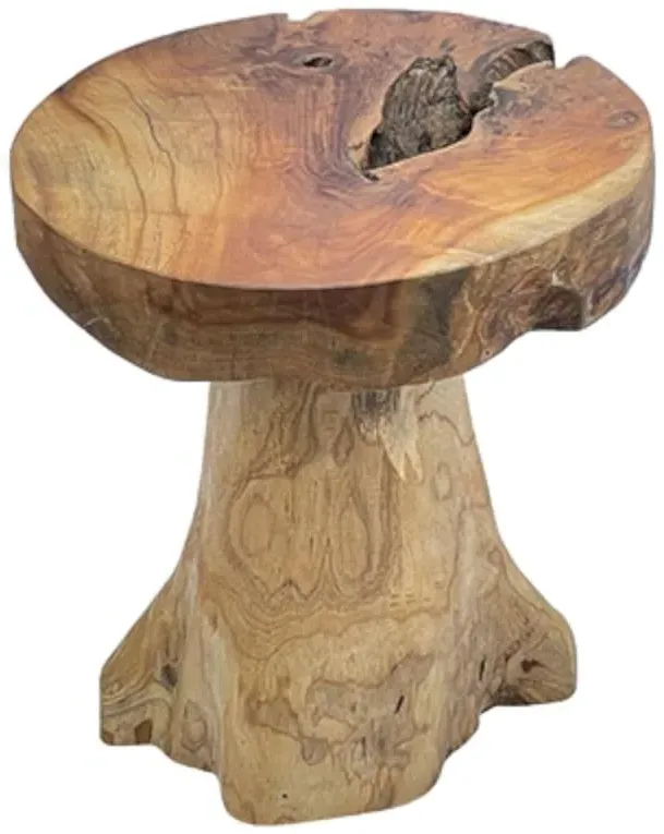 Teak Root Mushroom Round Lamp Table - Brown