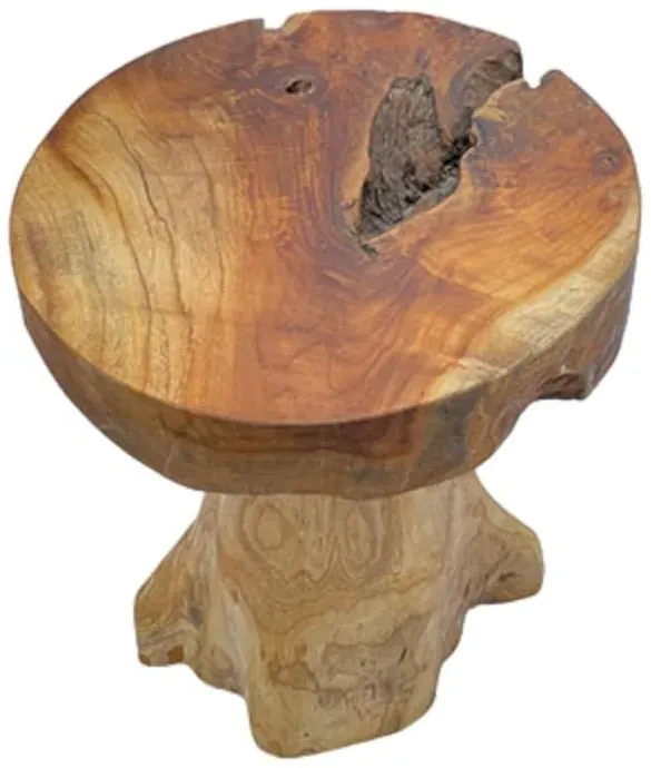 Teak Root Mushroom Round Lamp Table - Brown