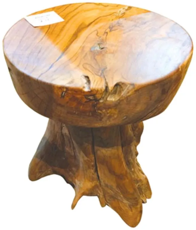 Teak Root Mushroom Round Lamp Table - Brown