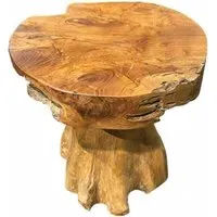 Teak Root Mushroom Round Lamp Table - Brown