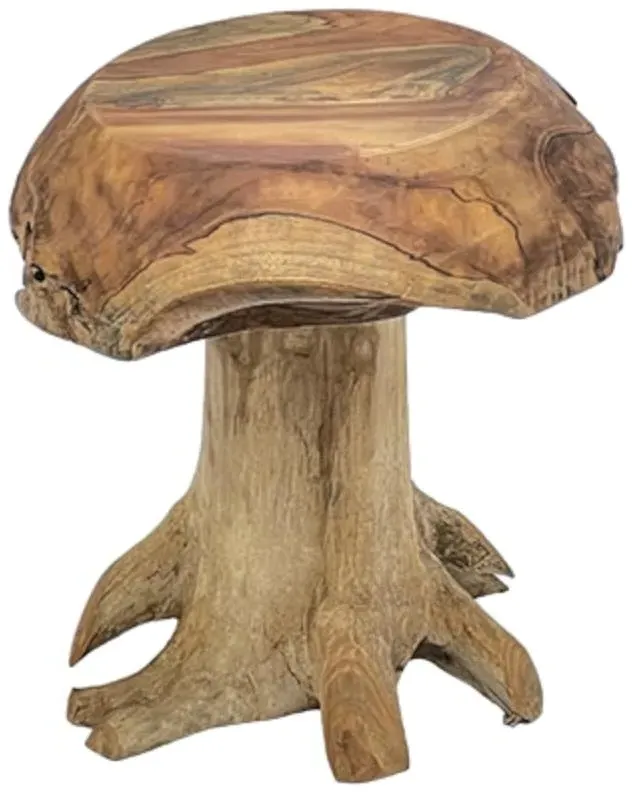 Teak Root Mushroom Round Stool - Brown
