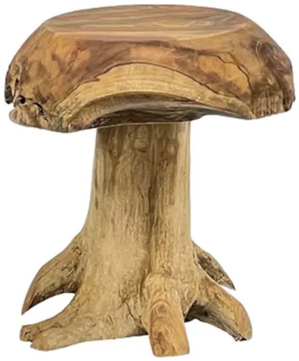 Teak Root Mushroom Round Stool - Brown