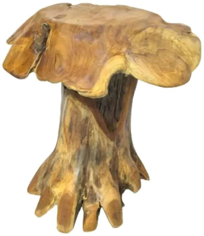 Teak Root Mushroom Round Stool - Brown