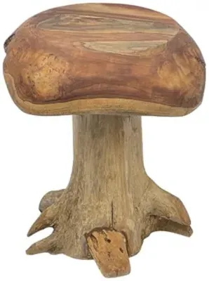 Teak Root Mushroom Round Stool - Brown image