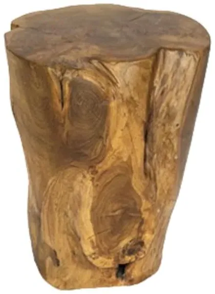 Teak Root Round Lamp Table - Brown