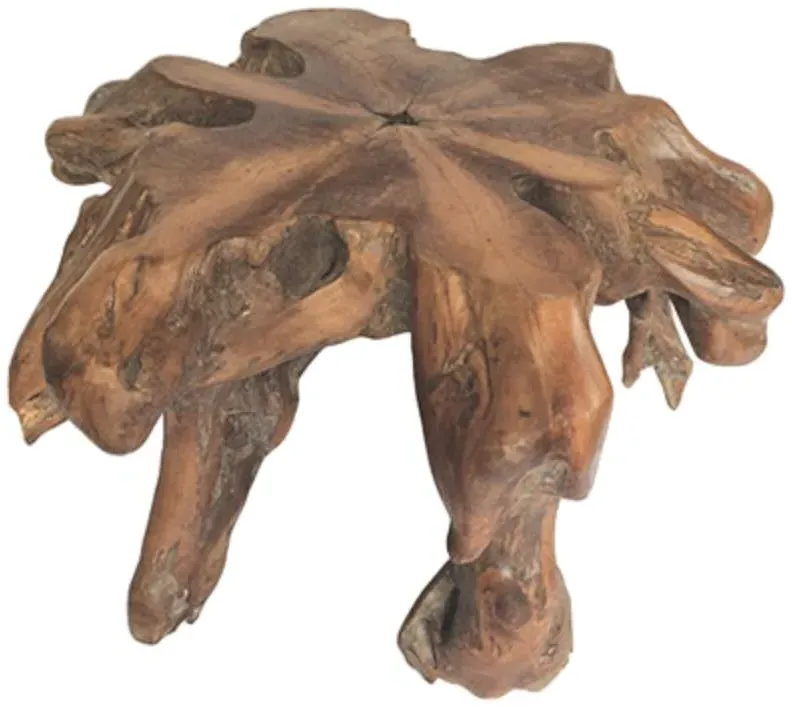 Teak Root Round Spider Coffee Table - Brown