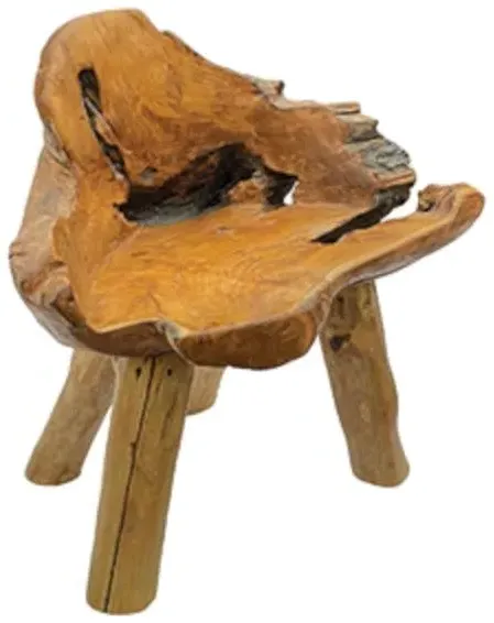 Teak Root Small Chair - Brown