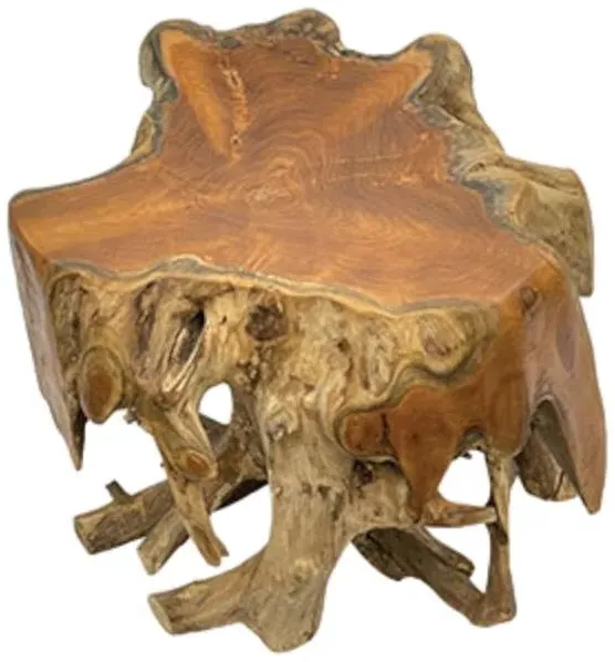 Teak Root Small Spider Coffee Table - Brown