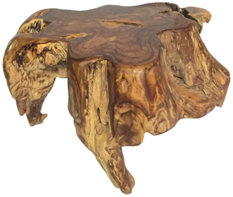 Teak Root Small Spider Coffee Table - Brown
