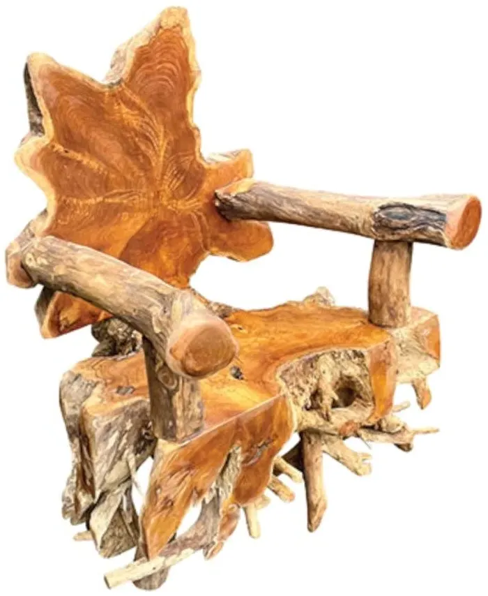 Teak Root Spider Armchair - Brown