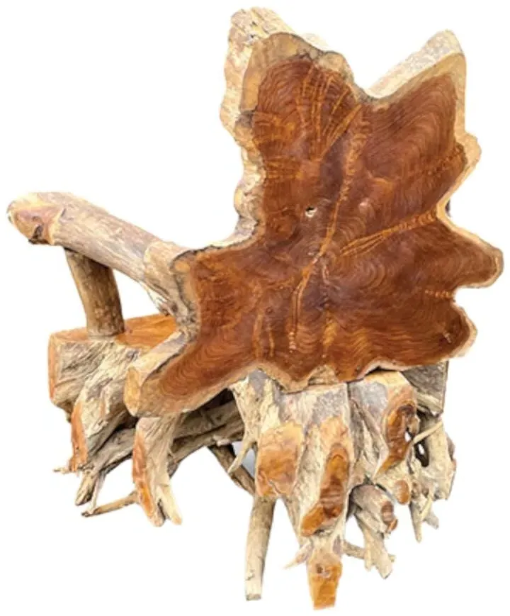 Teak Root Spider Armchair - Brown