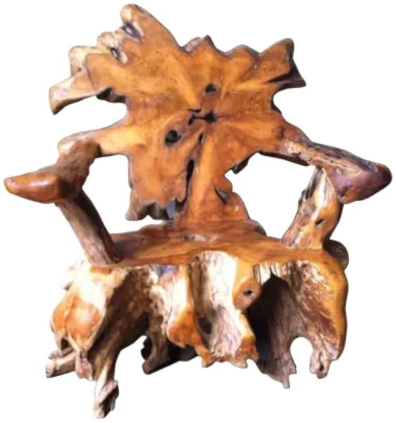 Teak Root Spider Armchair - Brown