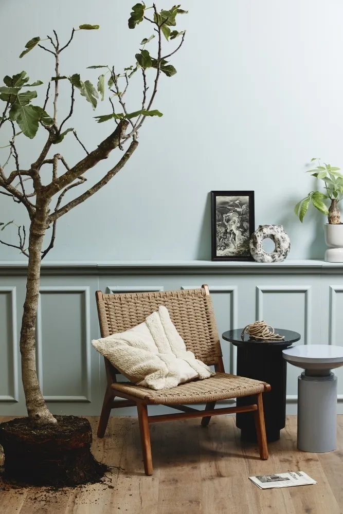 Club Lounge Chair - Teak