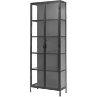 Phoenix 2 Door Glass Tall Display Cabinet - Black