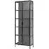 Phoenix 2 Door Glass Tall Display Cabinet - Black