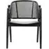 Wicky Lounge Chair - Black