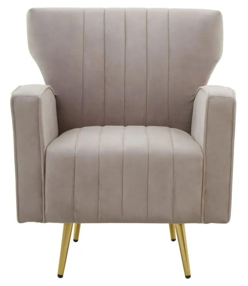 Hayley Velvet Armchair with Gold Metal Legs - Mink