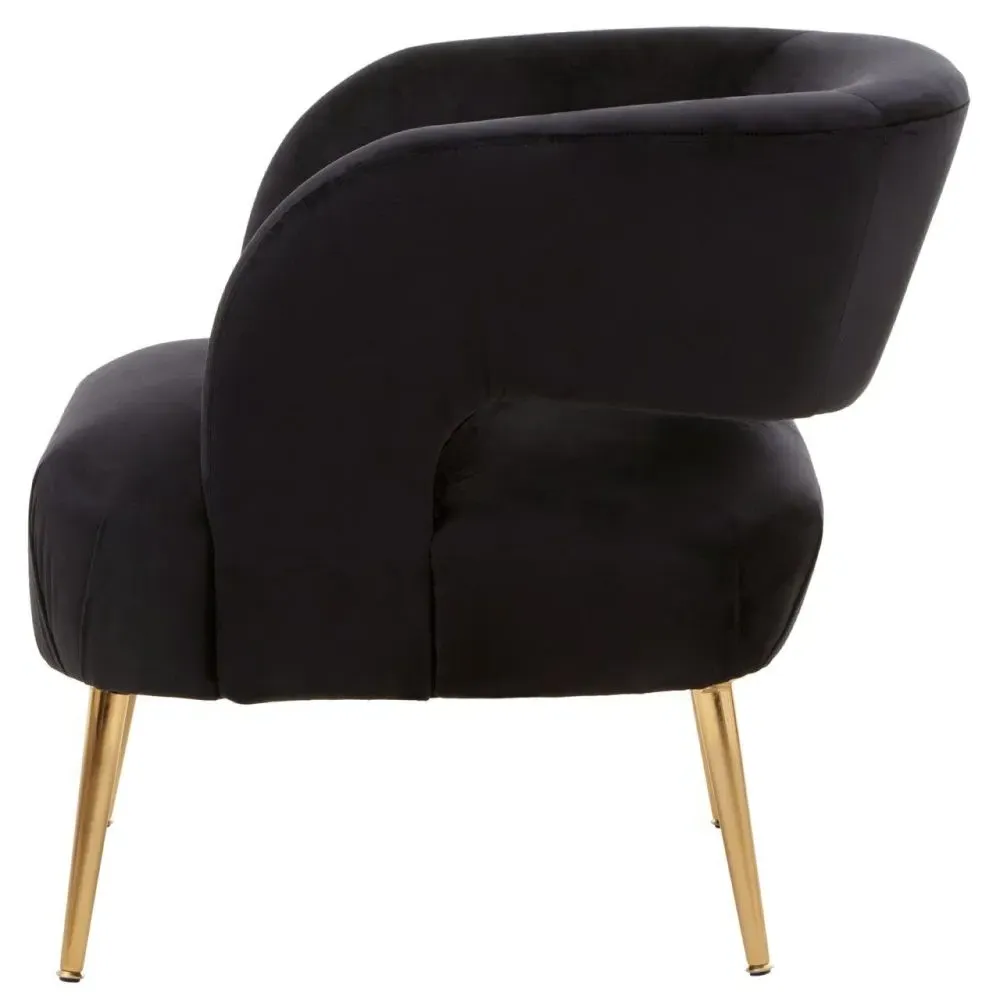 Larissa Accent Chair with Gold Metal Legs - Black, Velvet