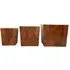 Surak Set of 3 Teak Root Stools - Brown