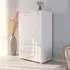 Evelyn 2 Door Cupboard - Alpine White