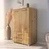 Evelyn 2 Door Cupboard - Wild Oak