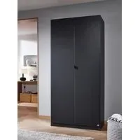 Ontario 2 Door Wardrobe - Metallic Grey