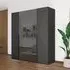 Paola 4 Door Wardrobe - Graphite, Glass