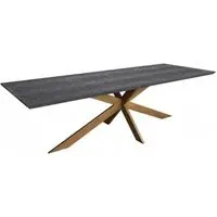 Blackbone 12 Seater Dining Table with Spider Legs - Black, Oak
