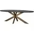 Blackbone 12 Seater Oval Dining Table with Spider Legs - Black, Oak