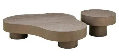 Bogor Set of 2 Coffee Tables - Bronze image