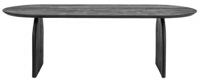 Hudson 8 Seater Oval Dining Table - Black, Mango Wood image