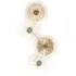Linzi Glass Wall Lamp - Brushed Gold