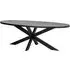 Scotch 8 Seater Oval Dining Table with Spider Legs - Black