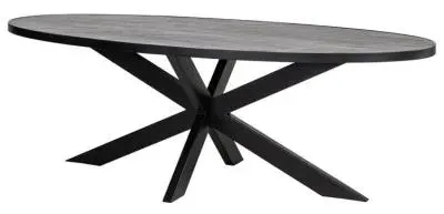 Scotch 8 Seater Oval Dining Table with Spider Legs - Black image
