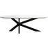 Trocadero 8-Seater Dining Table with Spider Legs - White, Marble