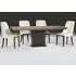 Ark Dining Table - Marble, Wood
