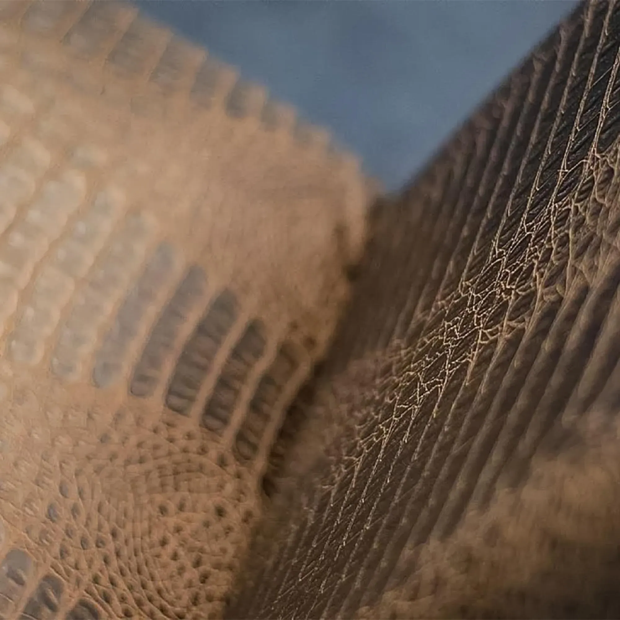 Cloe Leather Dining Chair