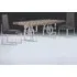 Windows Marble Dining Table with Pedestal Base - Stainless Steel