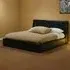 X Leather Bed
