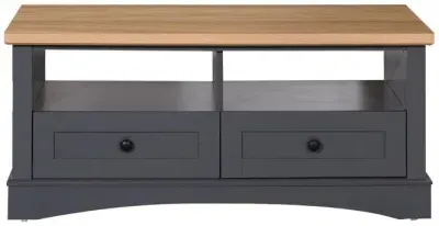Cobb 2 Drawer Coffee Table image