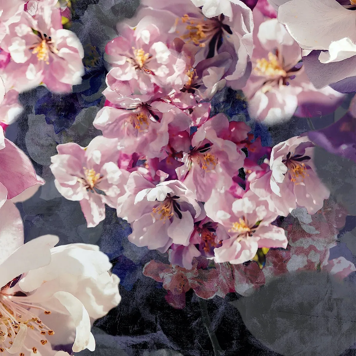 Jacob Berry Curtain - Cotton