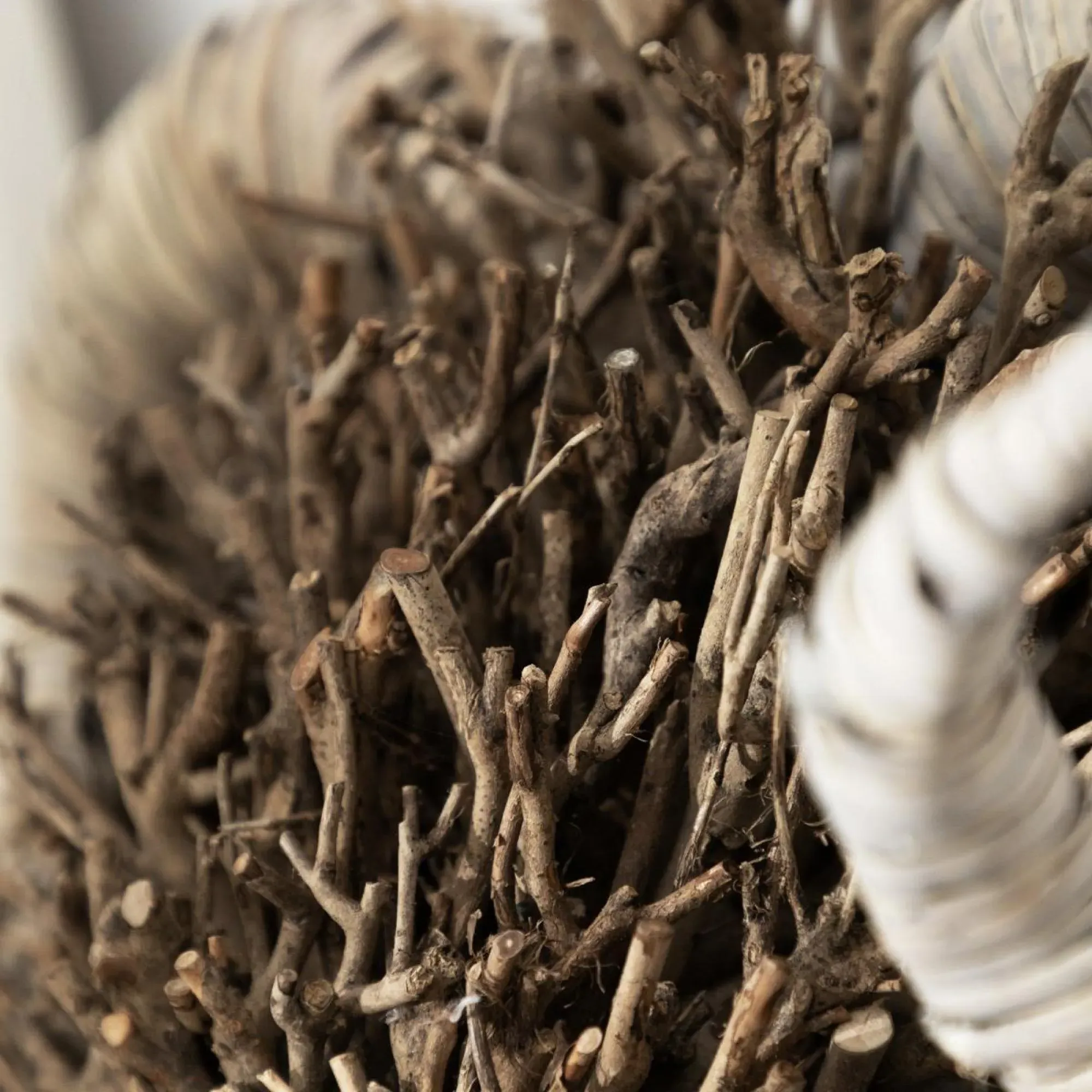 Beau Hand Crafted Ram Wooden Sculpture - Brown